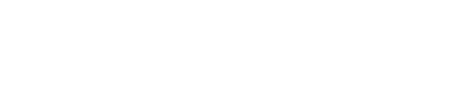HOLOLIGHT
