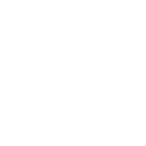 A BMW Group