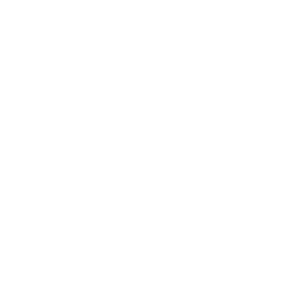 ShipReality