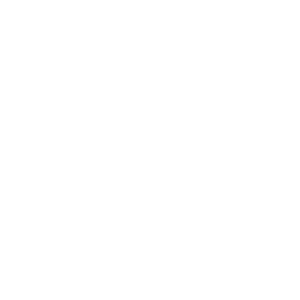 Westnetz